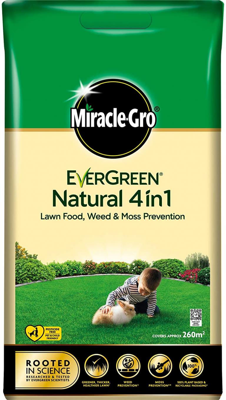 Lawn 5