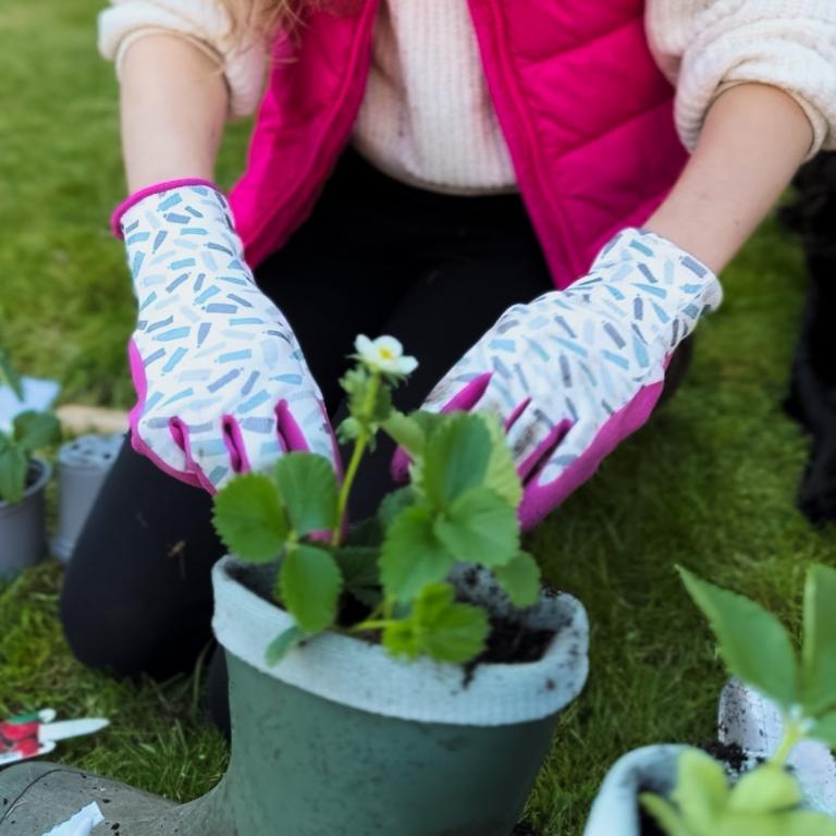 Soil Saviours