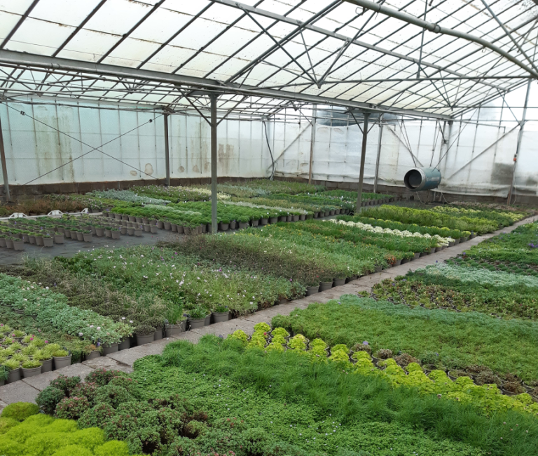 Worfield Nursery