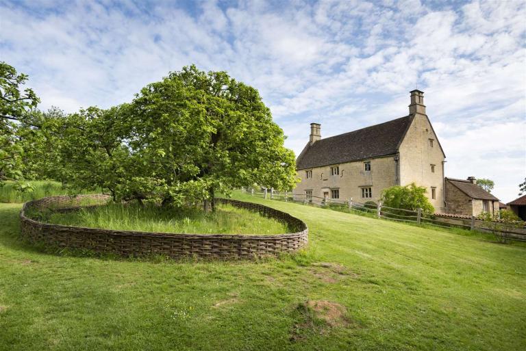 Newton's Apple Tree Auction