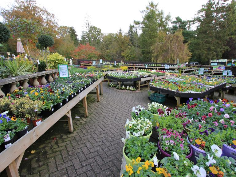 Chatsworth Garden Centre