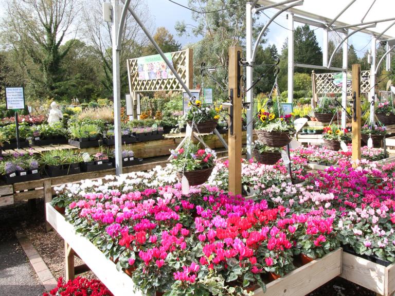 Wilton House Garden Centre