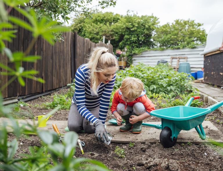 Vegetable gardens