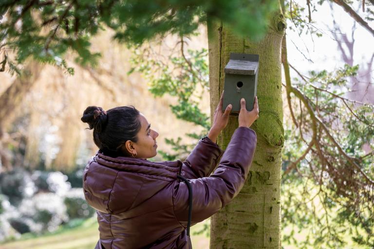 When is the best time to put up a nestbox?
