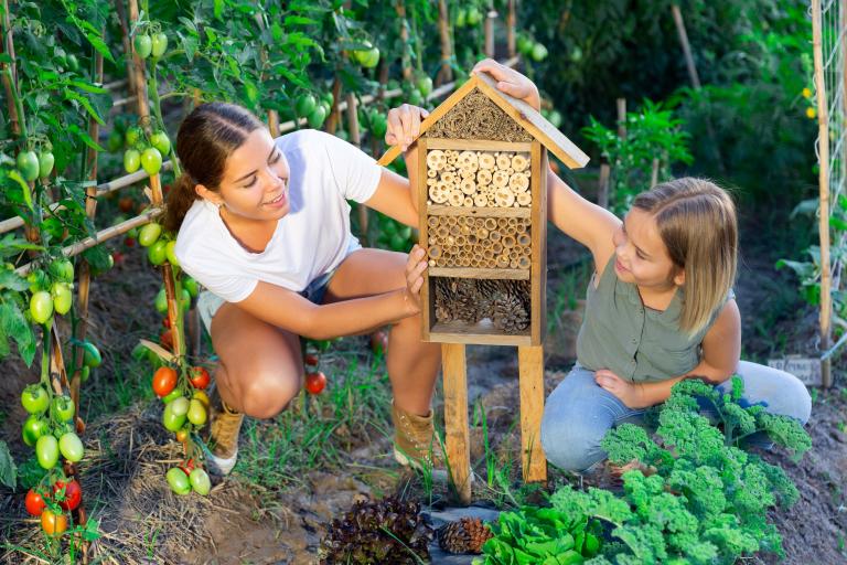 An understanding of the importance of nature and the environment