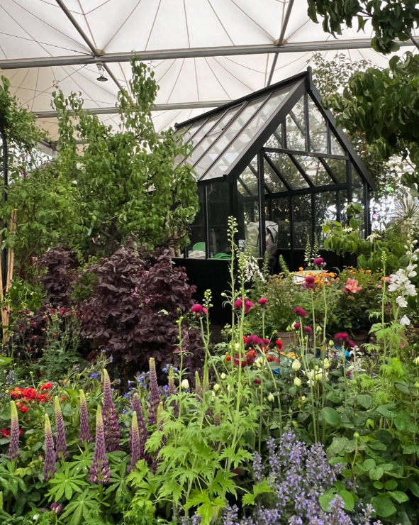 garden