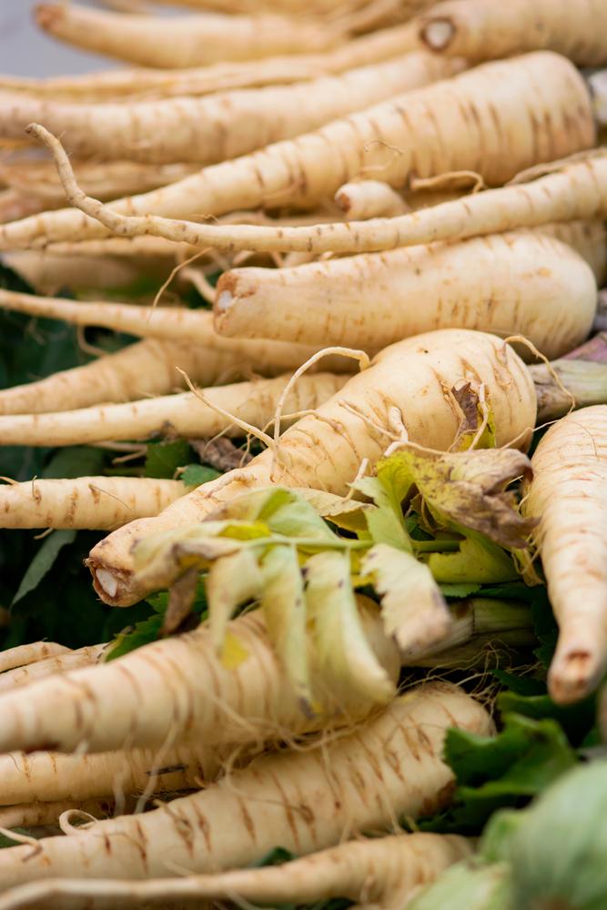 What vegetables to harvest in February