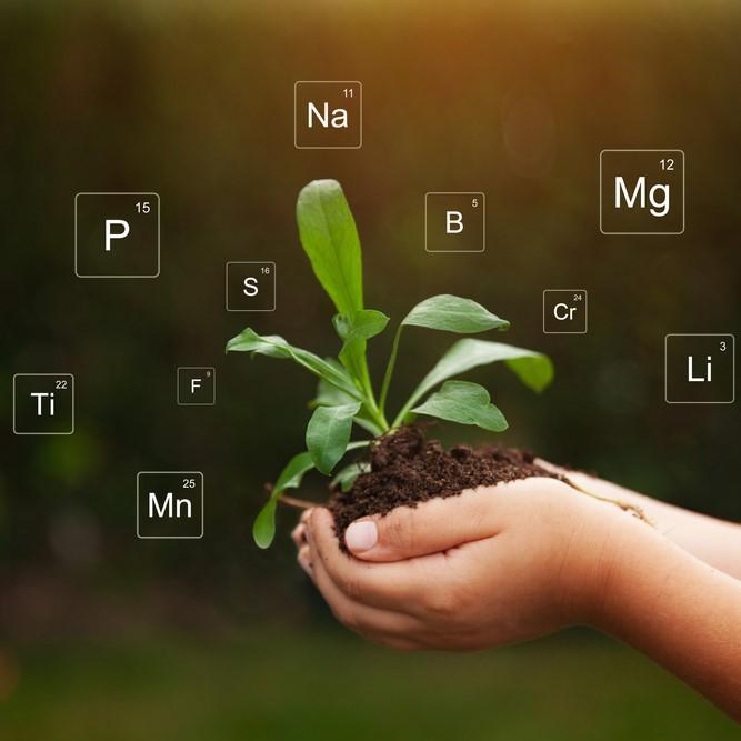 Switch from chemical based products to nature friendly alternatives