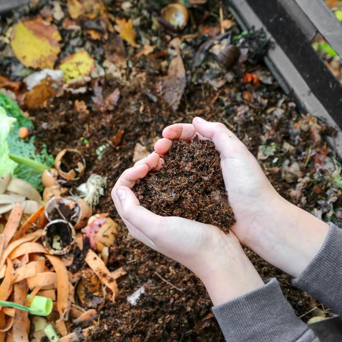 Use alternatives to peat compost