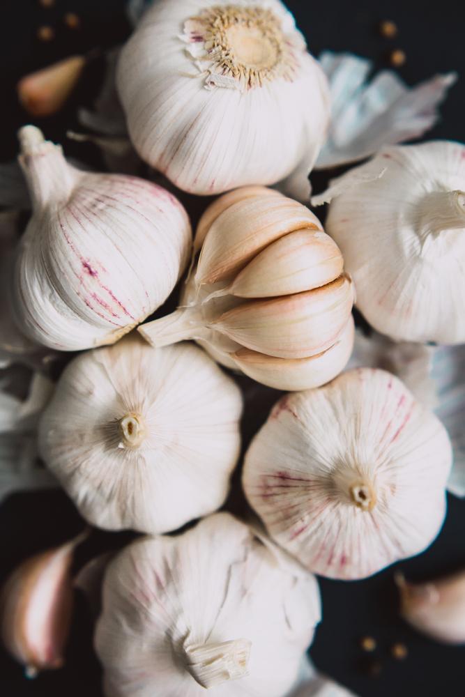 What vegetables to plant in December