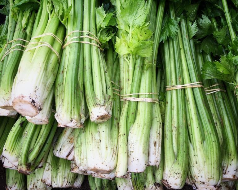 What vegetables to plant in January