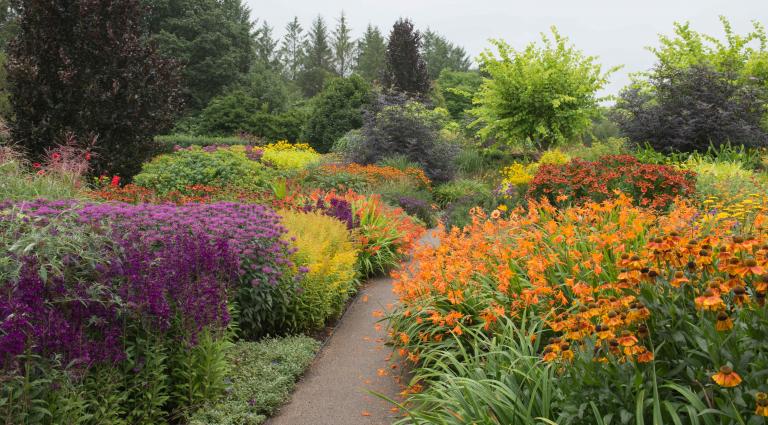 Herbaceous Border Collections