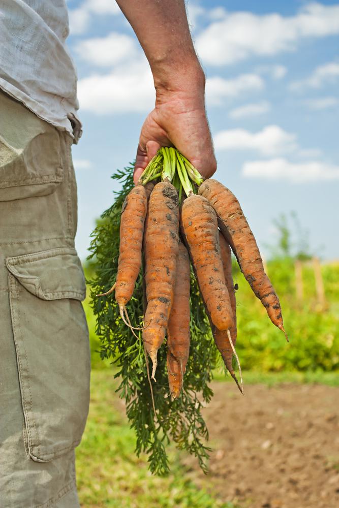 spring veg