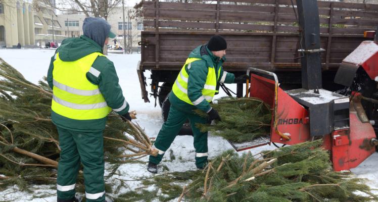 Christmas Tree Recycling 2020