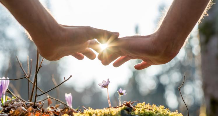 Gardening for your mental well-being