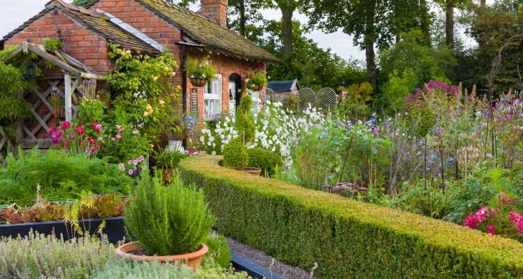Bridgemere Show Gardens: Restored, Reinvigorated and Re-launched