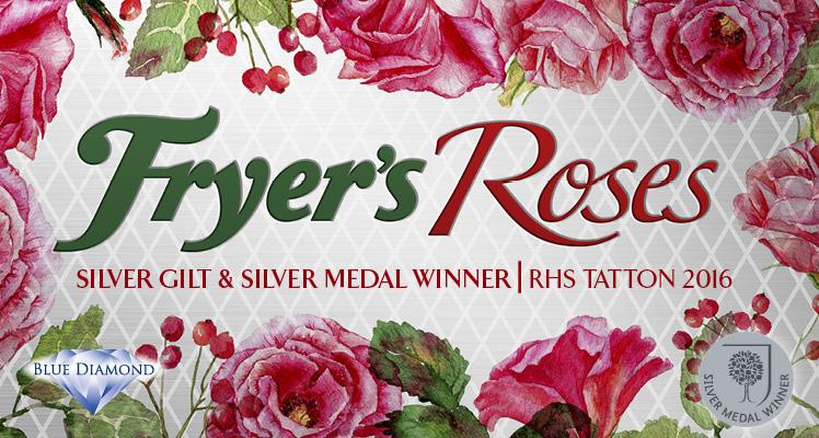 Fryer’s Roses Awarded Silver and Best Show Feature at Tatton Park 2016