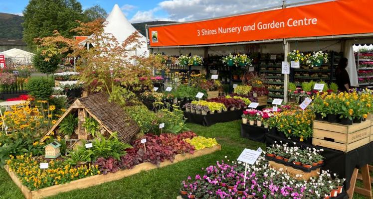 3 Shires win maximum 5 flower award at RHS Malvern