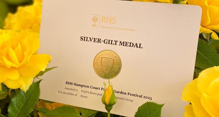 We have won Silver Gilt at RHS Hampton Court Flower Show
