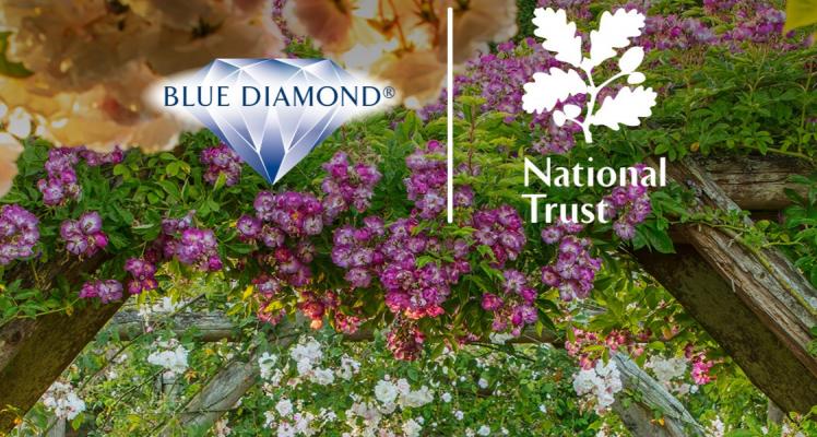 The National Trust Rose Collection
