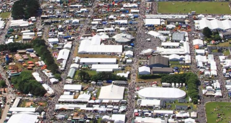 Trelawney at The Royal Cornwall Show 2019