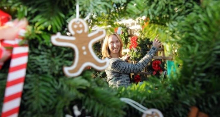 Christmas Trees Poinsettias And The Scent Of The Season Jill Kerr Blue Diamond