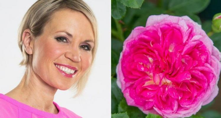 The Dianne Oxberry Rose Garden