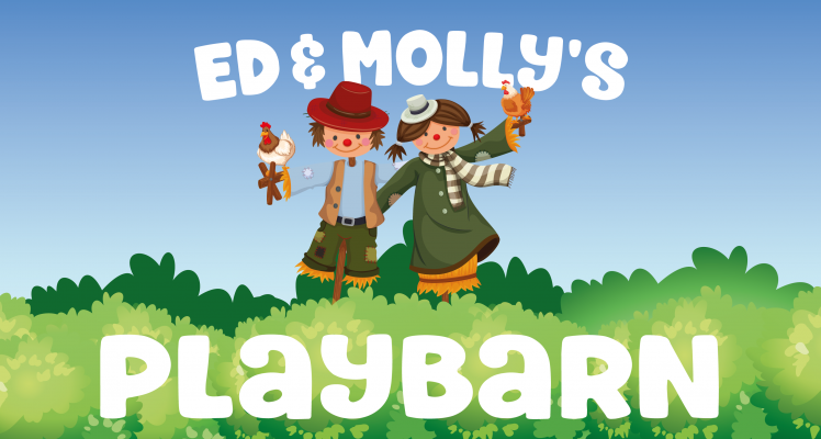 Ed & Molly's Playbarn at East Bridgford Garden & Home