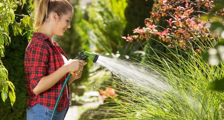 Top tips for watering during hot weather