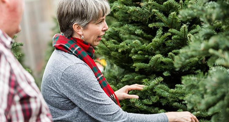 Caring for your real Christmas tree
