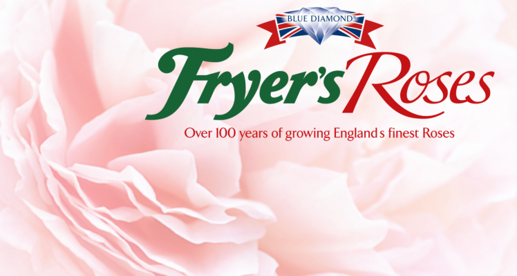 Watch - Fryer's Roses Video Collection
