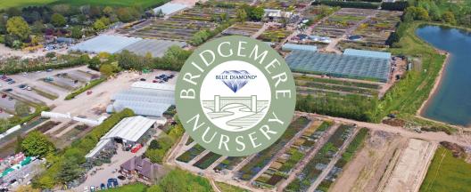 Bridgemere Nursery