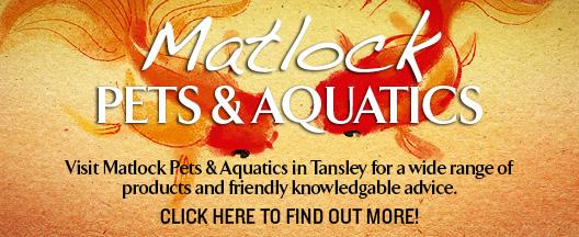 Matlock Pets & Aquatics