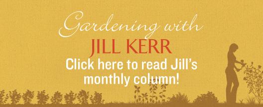 Jill Kerr's Gardening Column