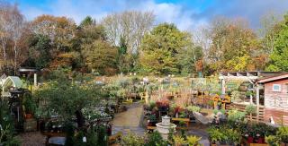 Chenies Garden Nursery & Cafe