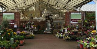 Contact Blue Diamond Garden Centre Uk Guernsey Jersey