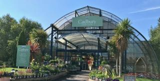 Cadbury Garden Centre