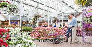 Hereford Garden Centre