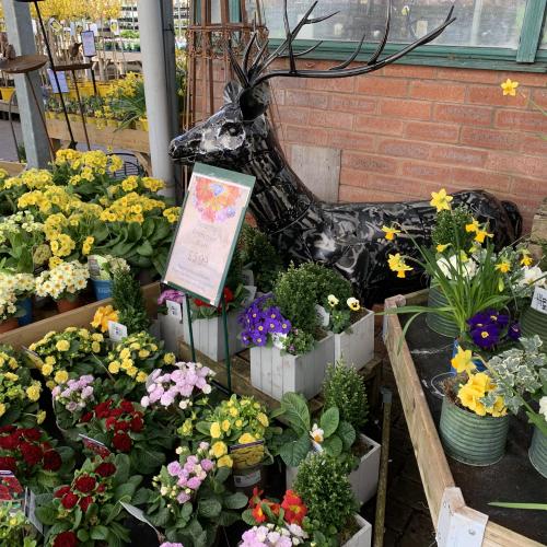 Plants at Hereford