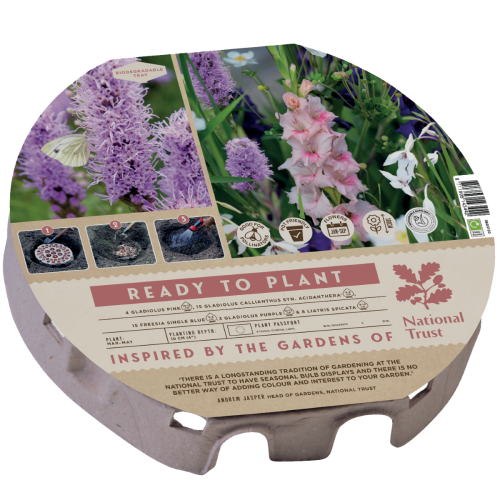 Ready to plant trays