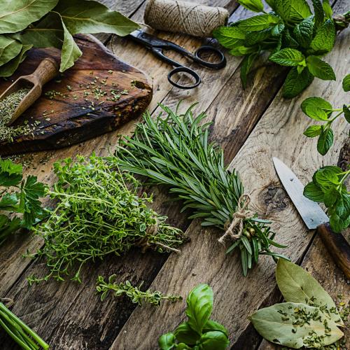 Herbs