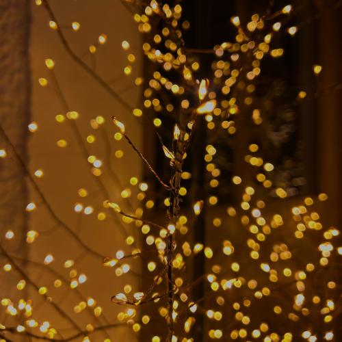 Outdoor Lighting