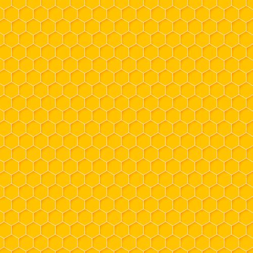 Bee Q&A
