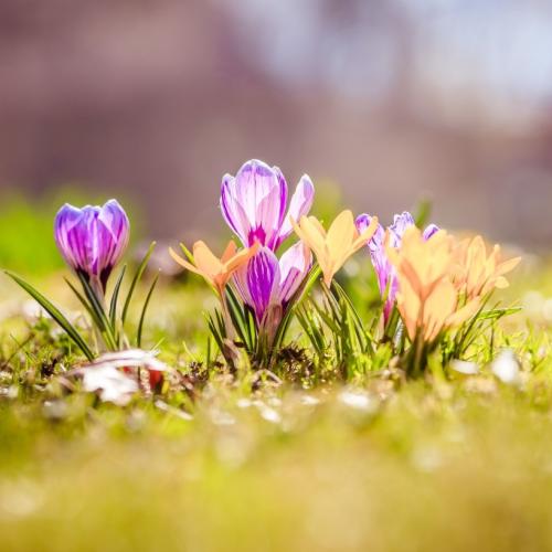 March