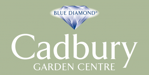 Cadbury Garden Centre Blue Diamond